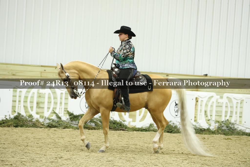 Proof 24R13_08114