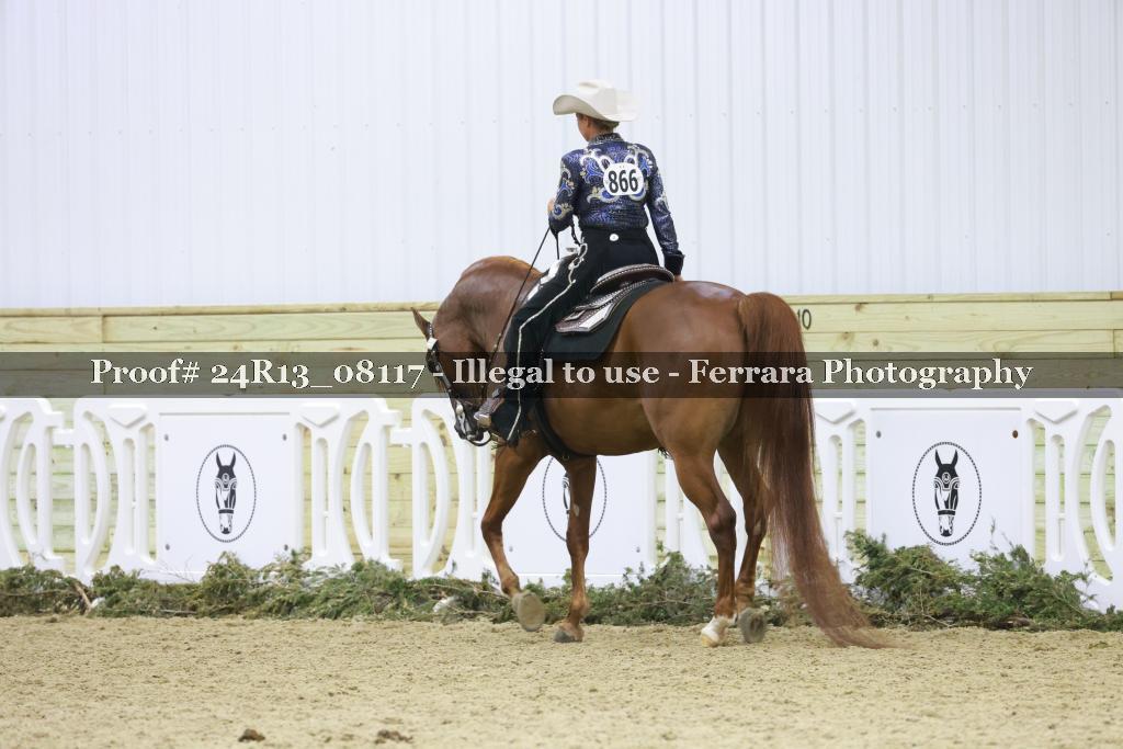 Proof 24R13_08117