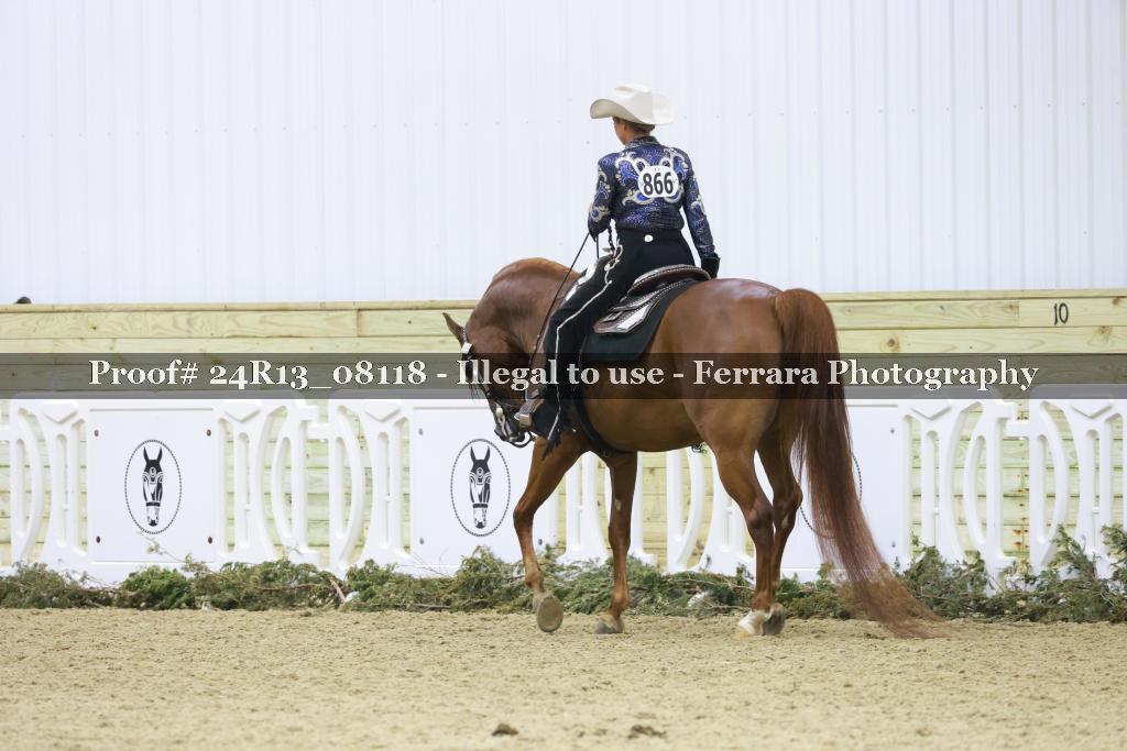 Proof 24R13_08118