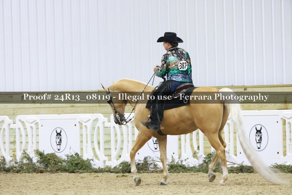 Proof 24R13_08119