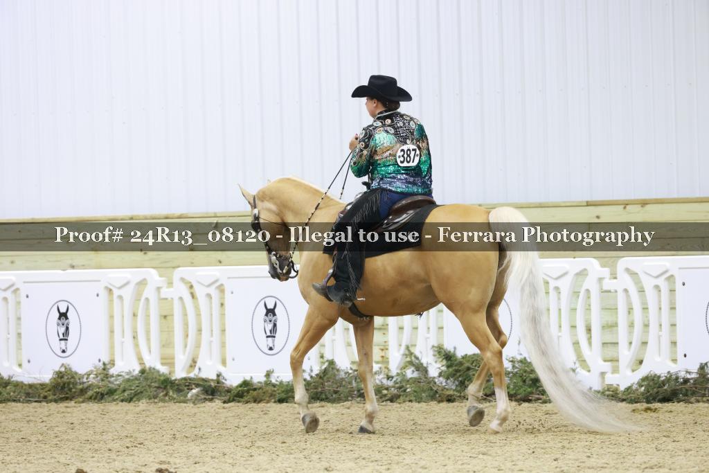 Proof 24R13_08120