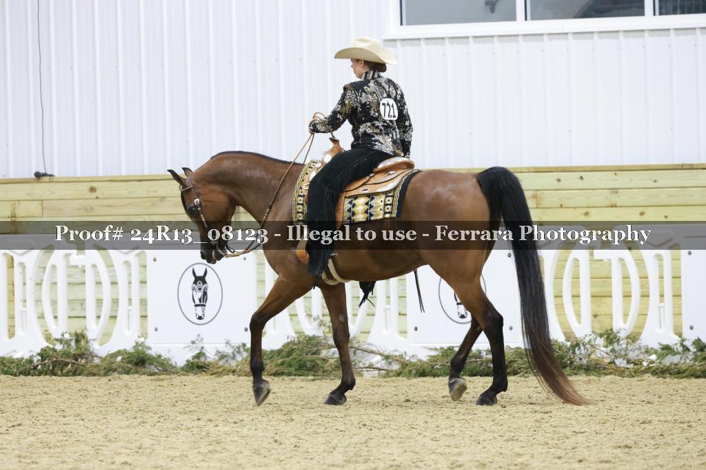Proof 24R13_08123