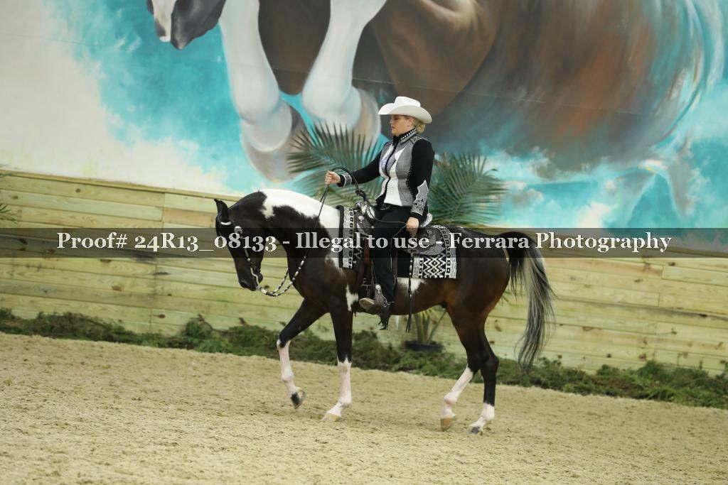 Proof 24R13_08133