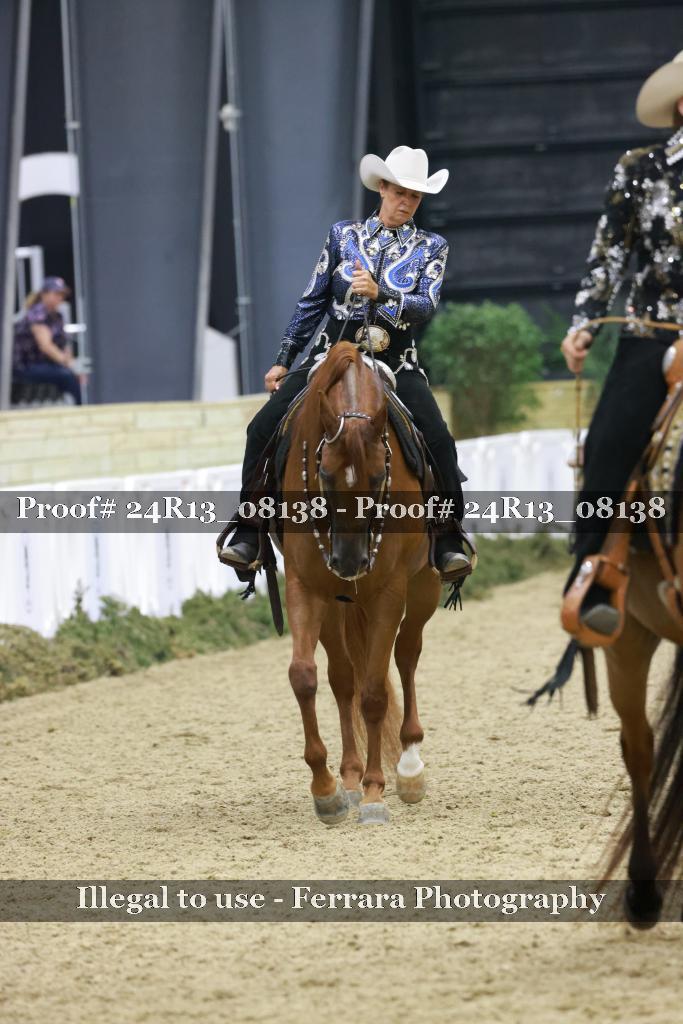 Proof 24R13_08138