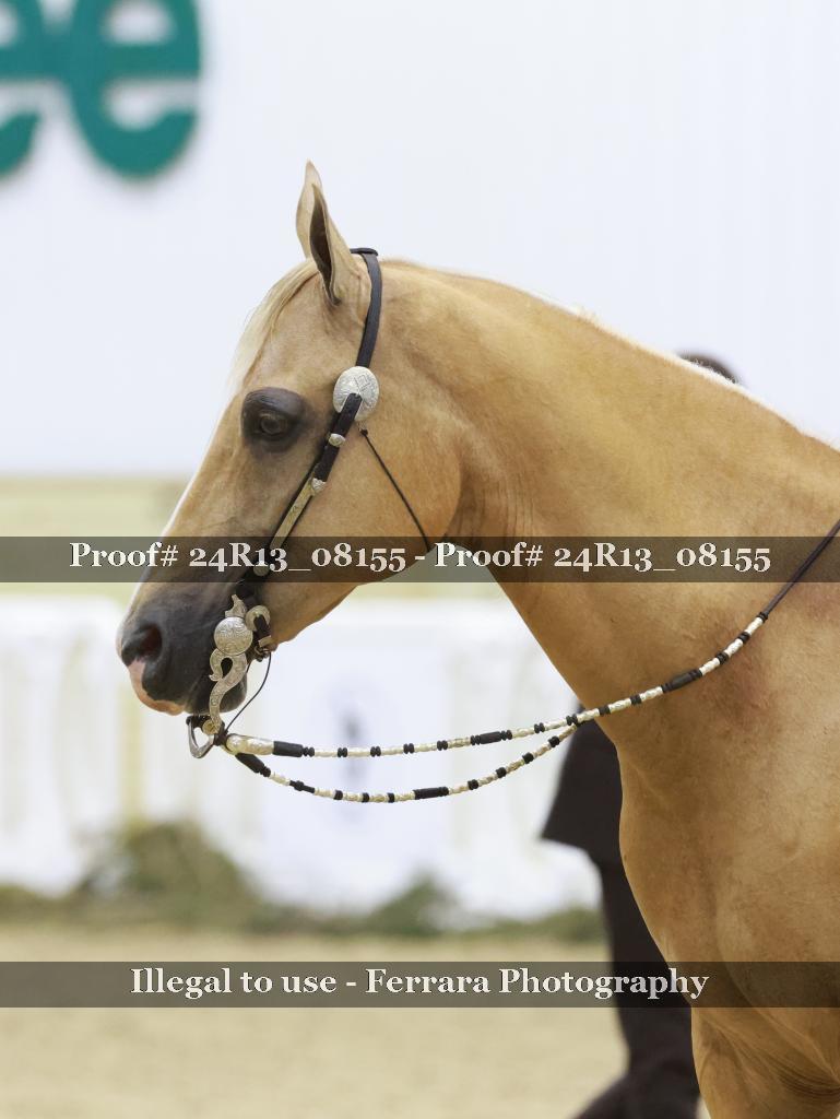 Proof 24R13_08155