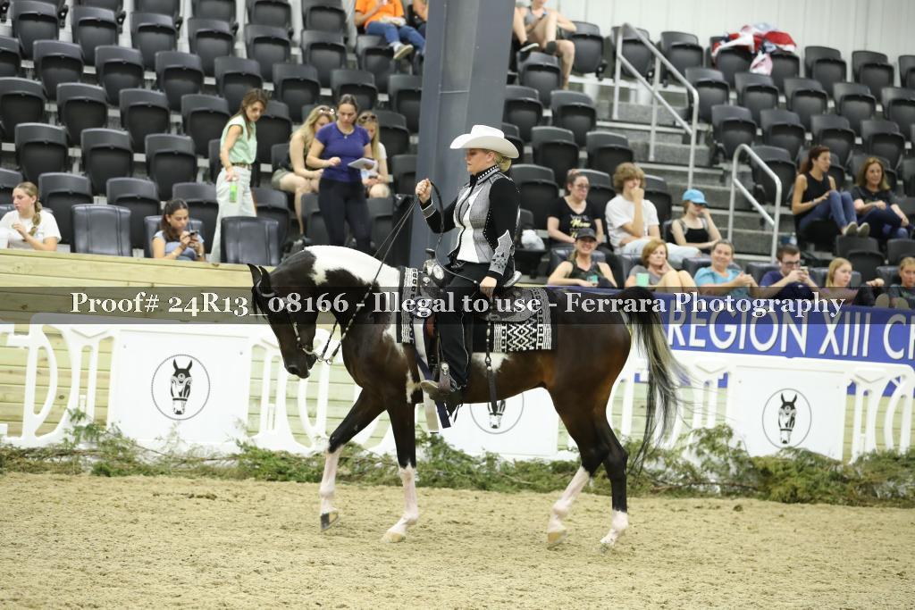 Proof 24R13_08166