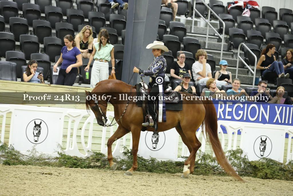 Proof 24R13_08167