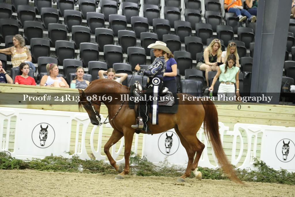 Proof 24R13_08169