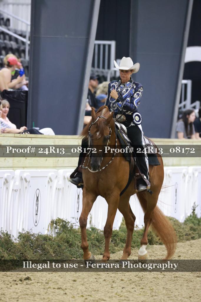 Proof 24R13_08172
