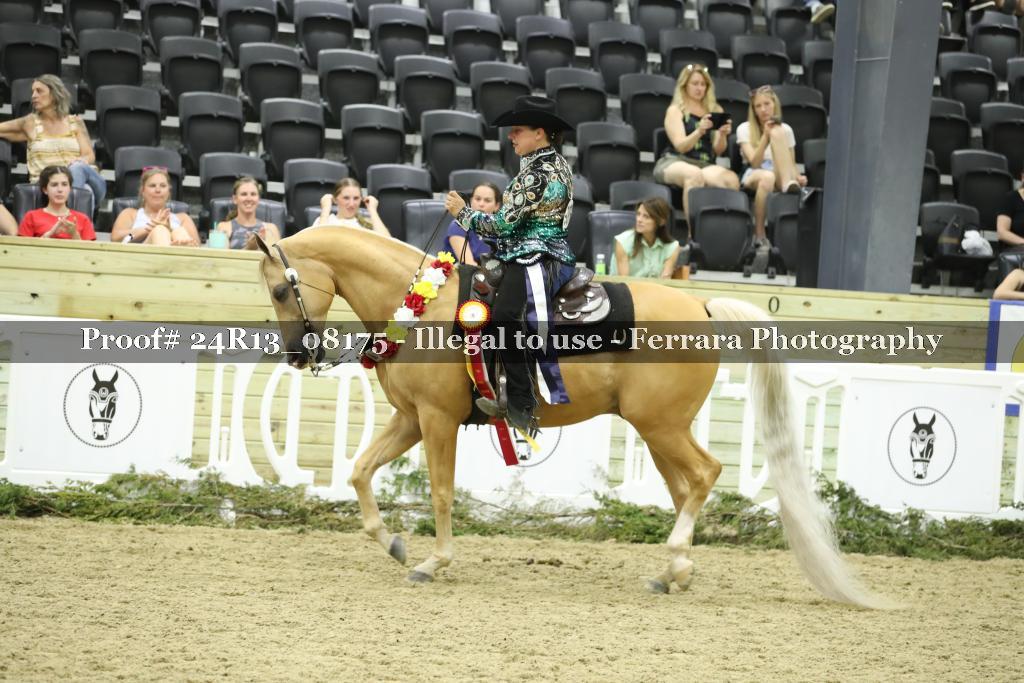 Proof 24R13_08175
