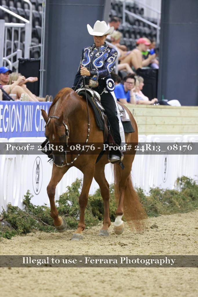 Proof 24R13_08176