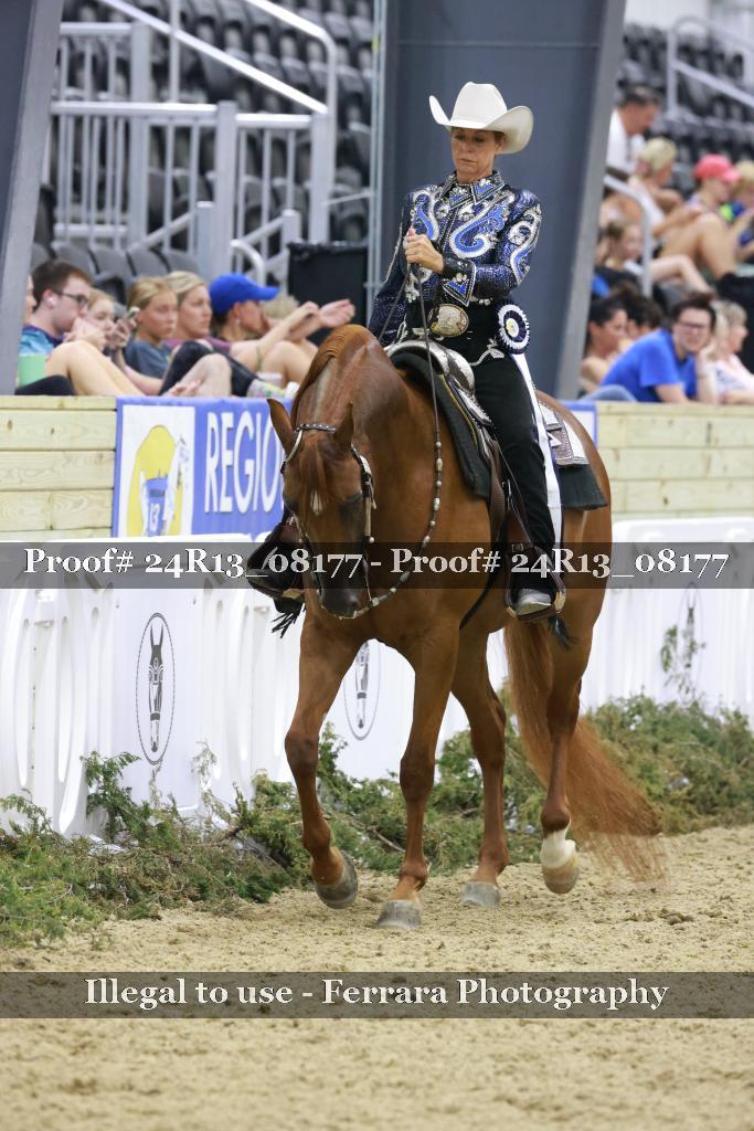 Proof 24R13_08177