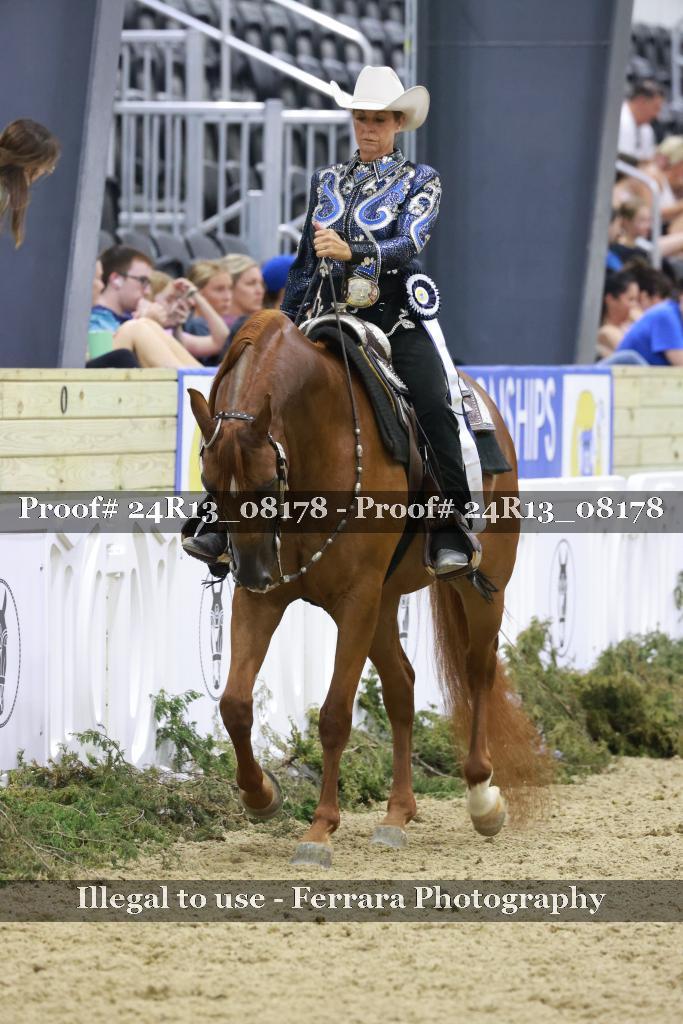 Proof 24R13_08178