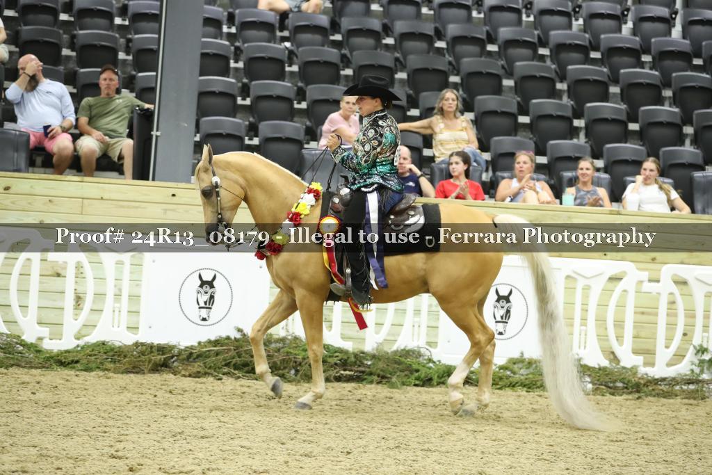 Proof 24R13_08179