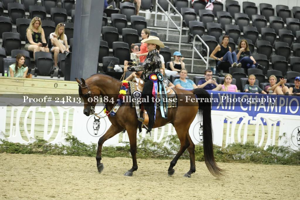 Proof 24R13_08184