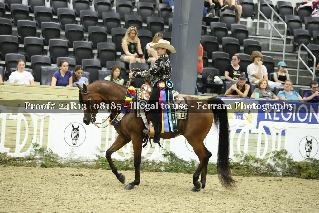 Proof 24R13_08185