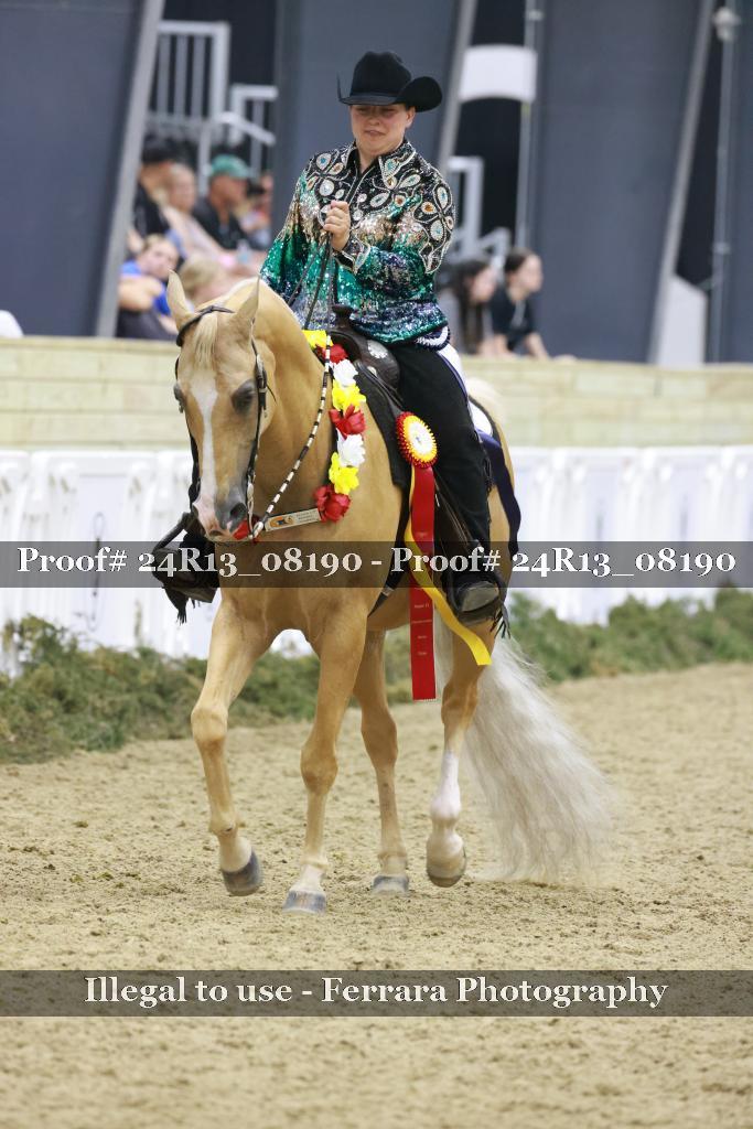 Proof 24R13_08190