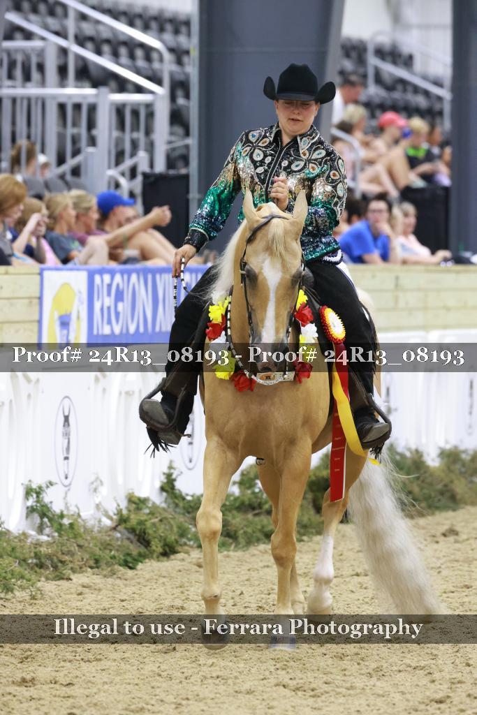 Proof 24R13_08193