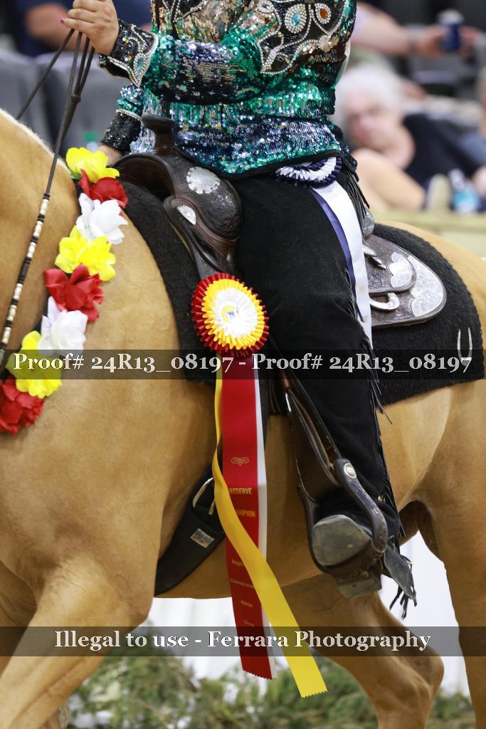 Proof 24R13_08197