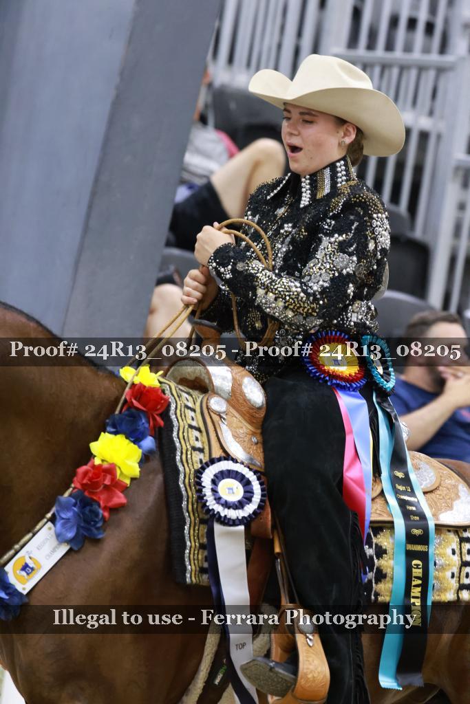 Proof 24R13_08205