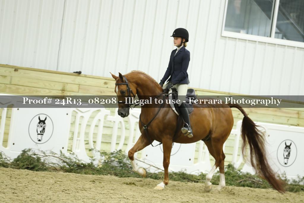 Proof 24R13_08208