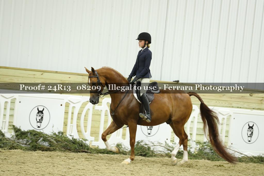 Proof 24R13_08209