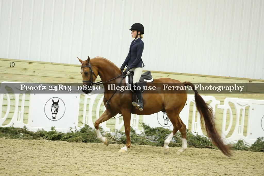 Proof 24R13_08210