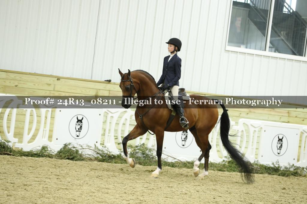 Proof 24R13_08211