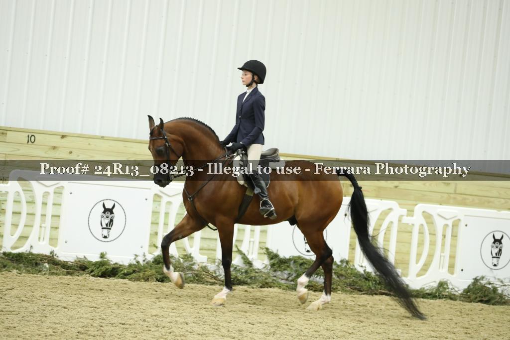 Proof 24R13_08213