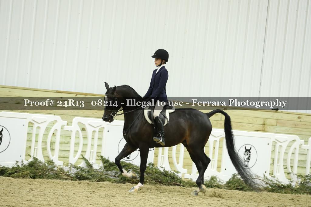 Proof 24R13_08214