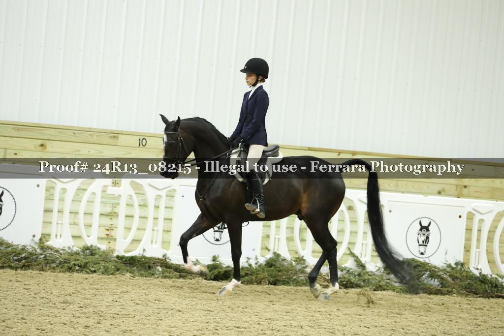 Proof 24R13_08215