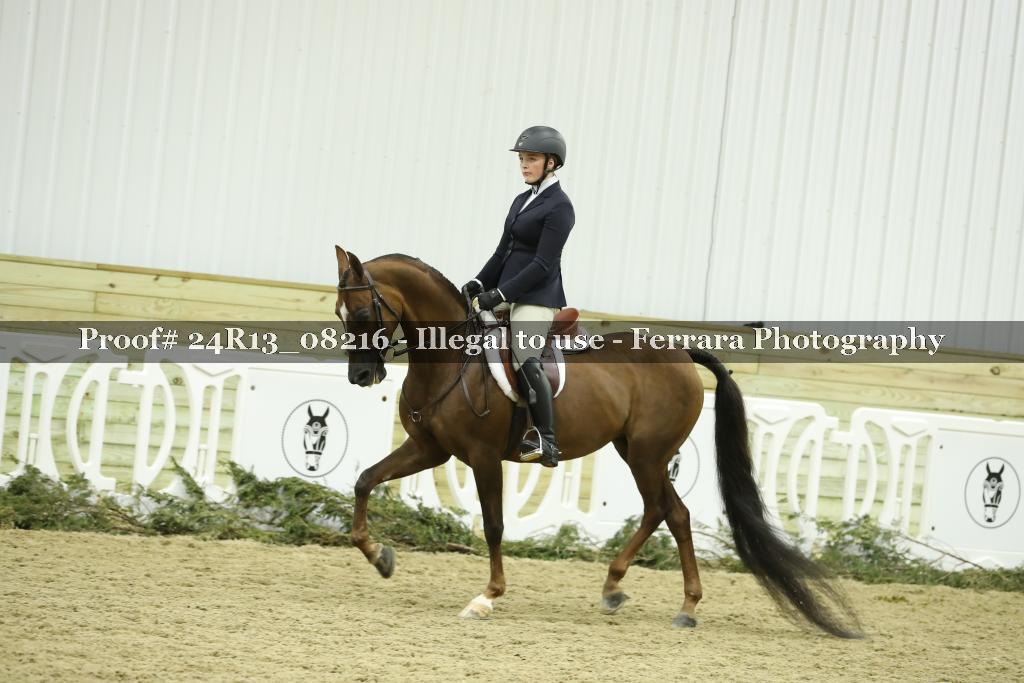 Proof 24R13_08216