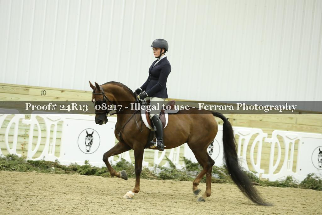 Proof 24R13_08217