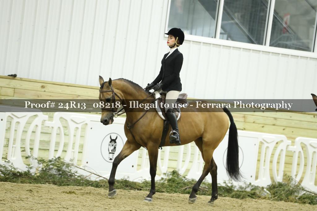 Proof 24R13_08218