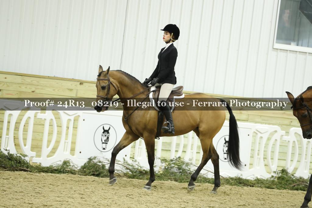 Proof 24R13_08219