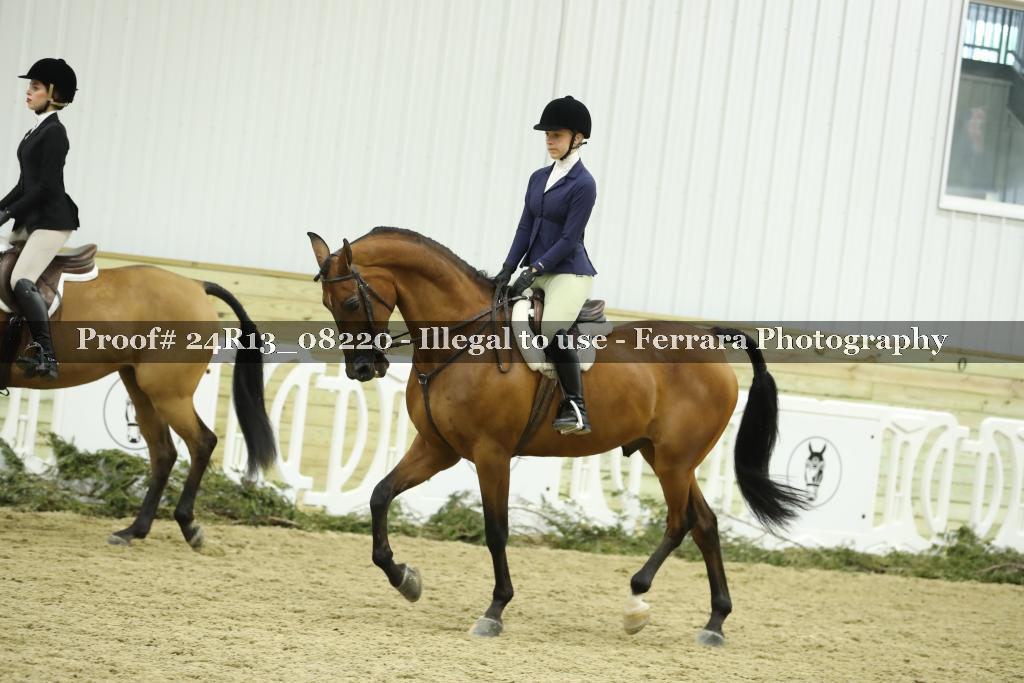 Proof 24R13_08220