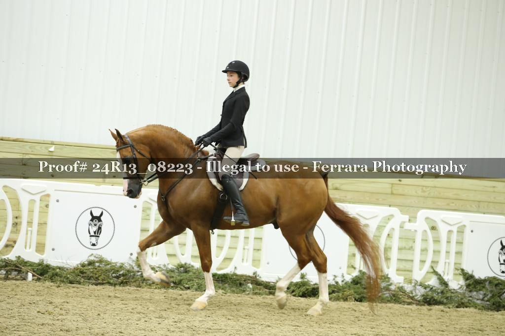 Proof 24R13_08223