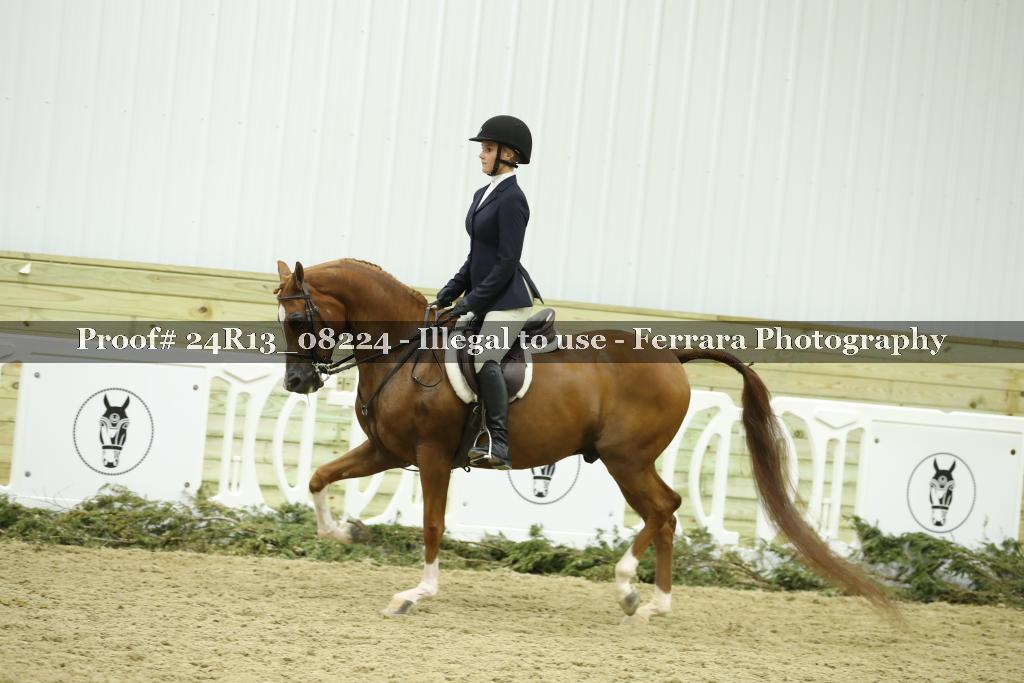 Proof 24R13_08224