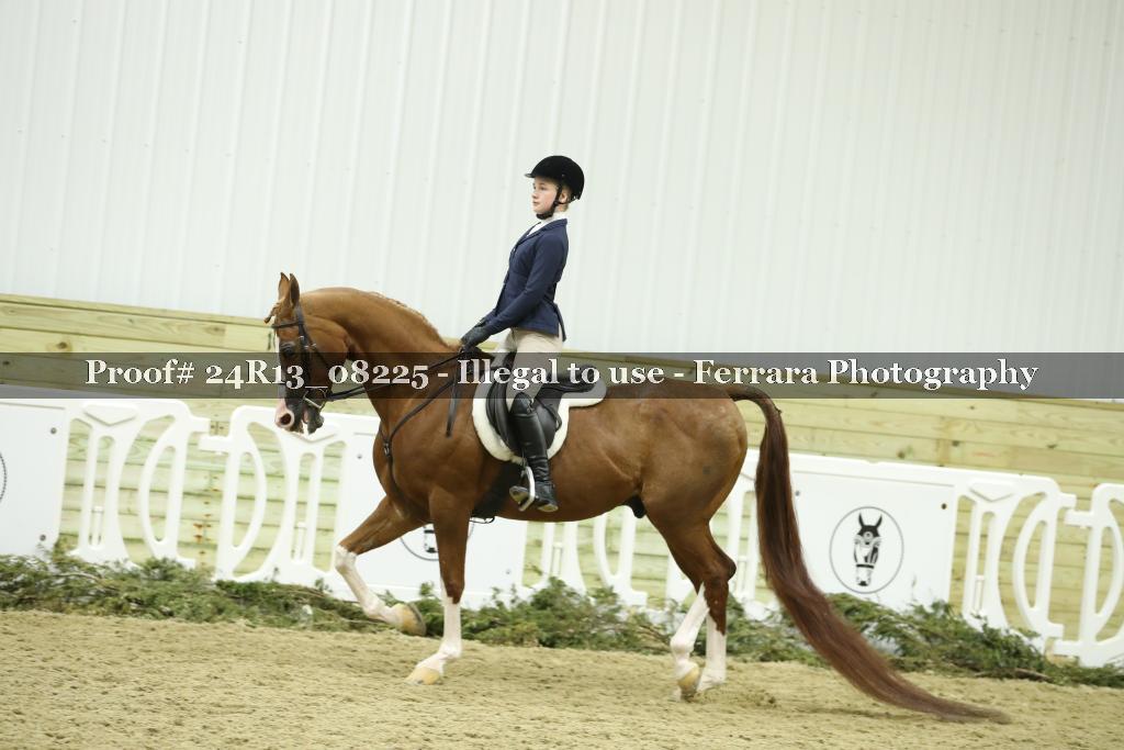 Proof 24R13_08225