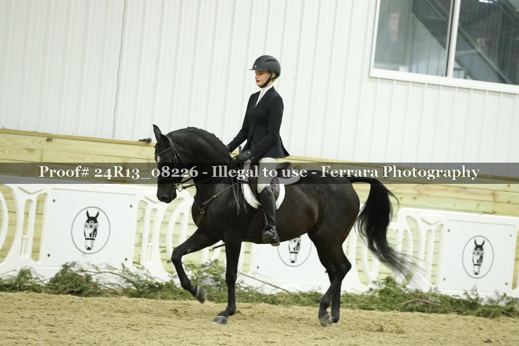 Proof 24R13_08226