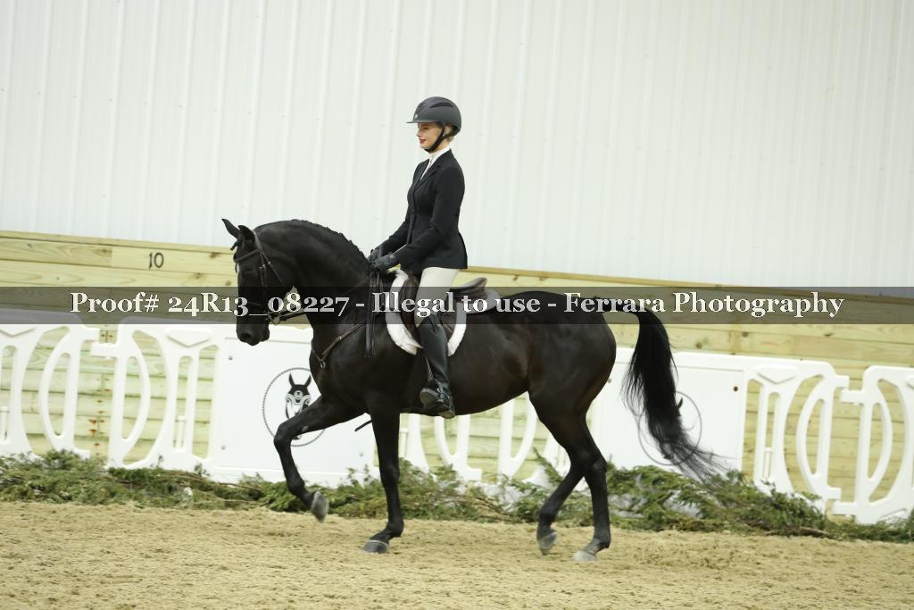 Proof 24R13_08227