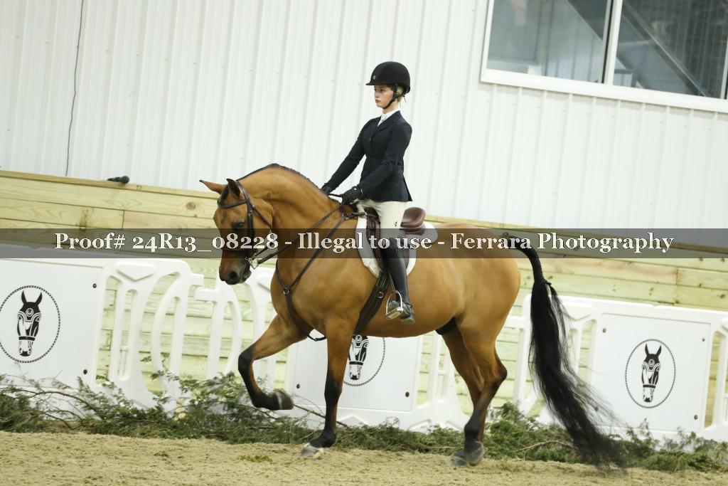 Proof 24R13_08228