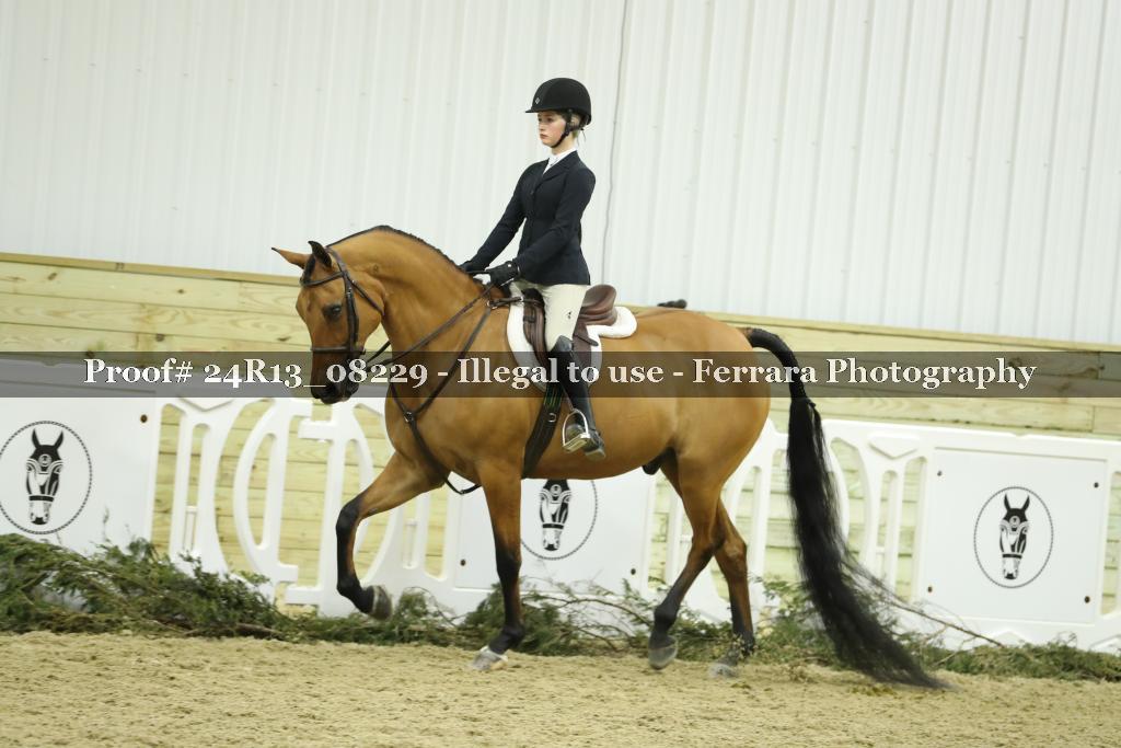 Proof 24R13_08229