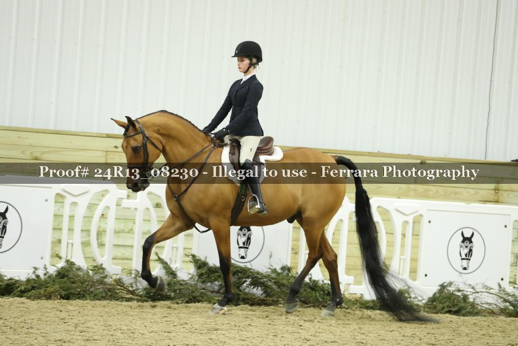 Proof 24R13_08230
