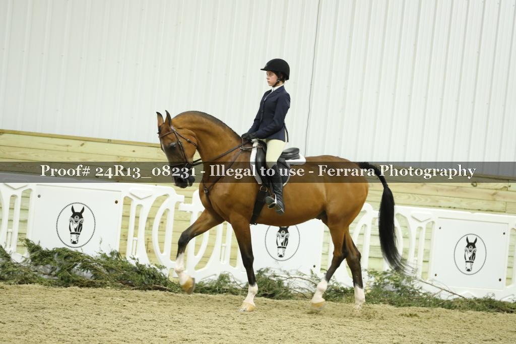 Proof 24R13_08231
