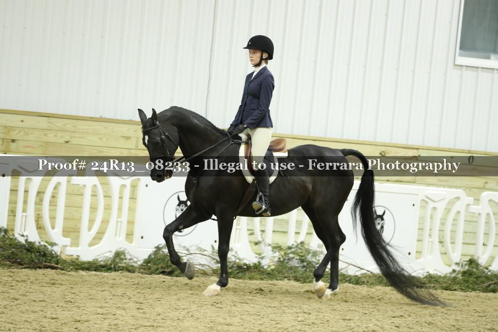 Proof 24R13_08233