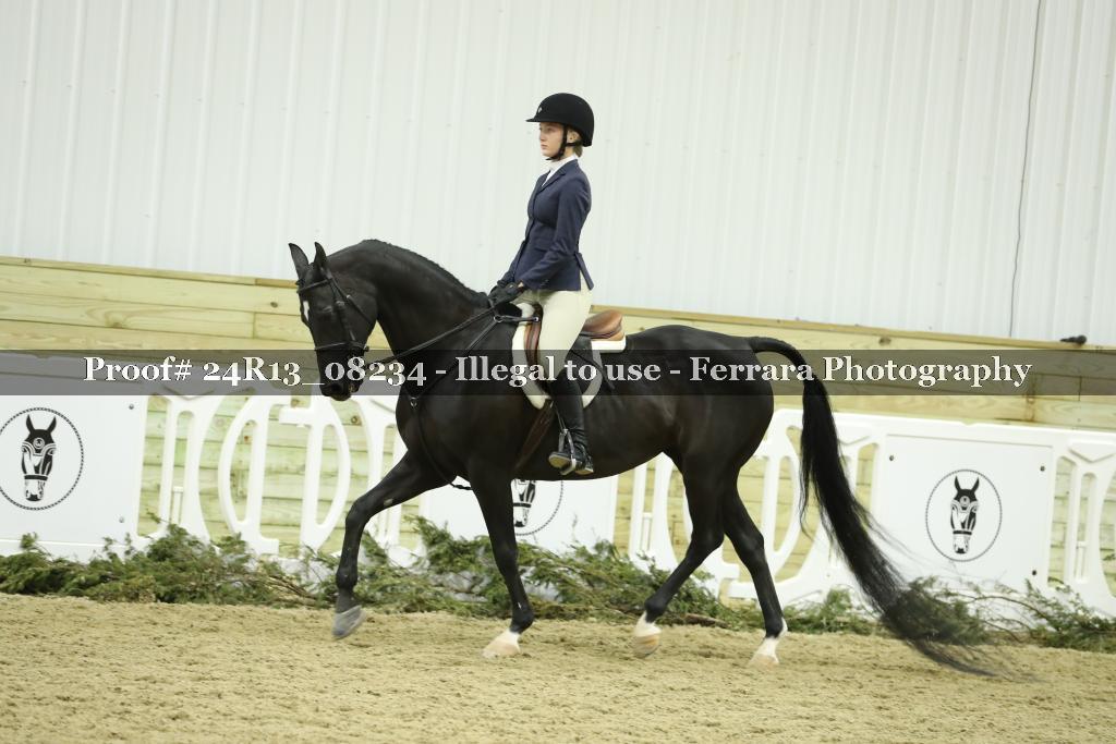 Proof 24R13_08234