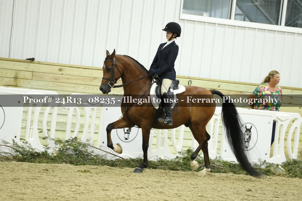 Proof 24R13_08235