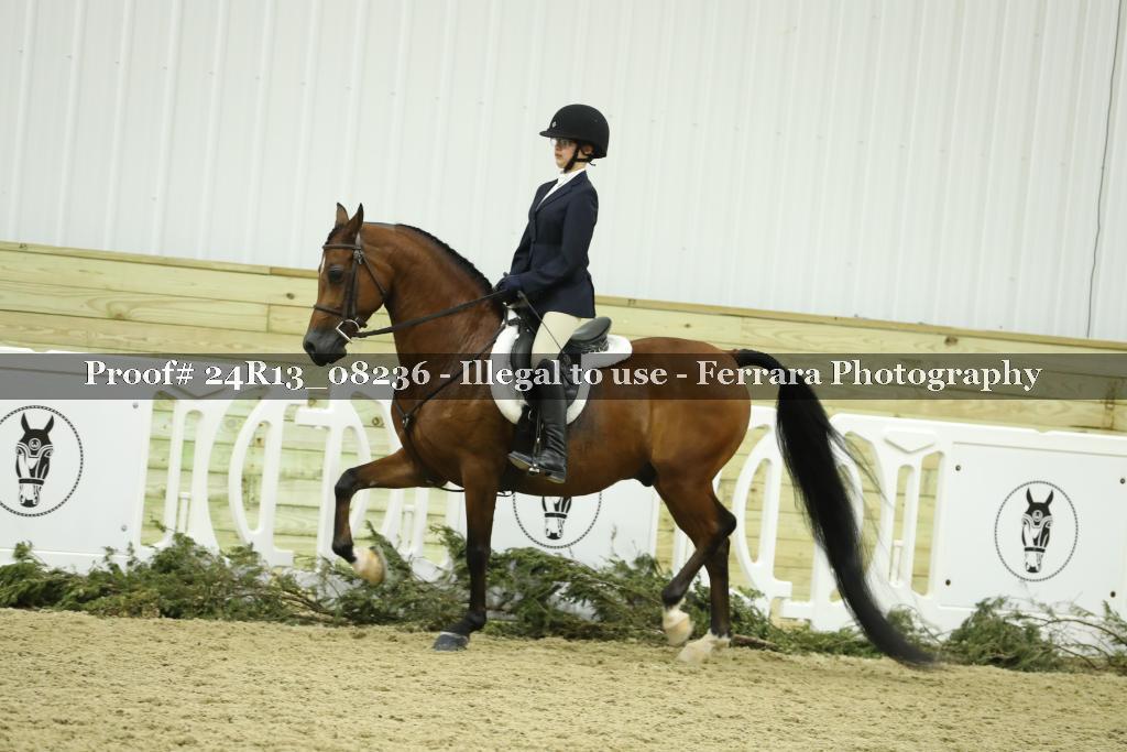 Proof 24R13_08236