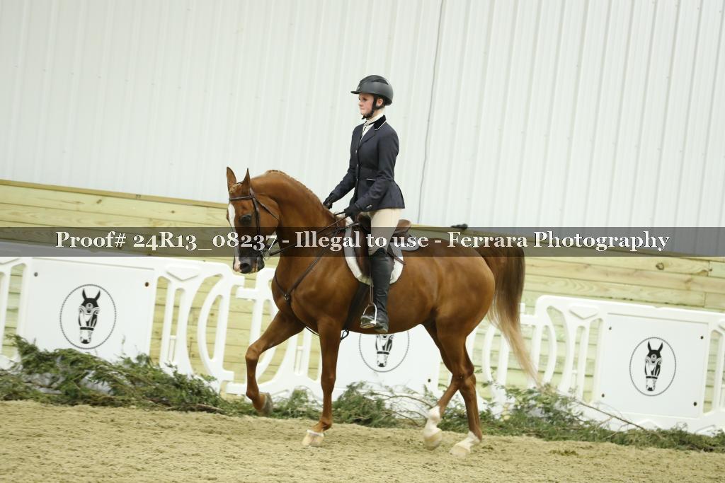 Proof 24R13_08237